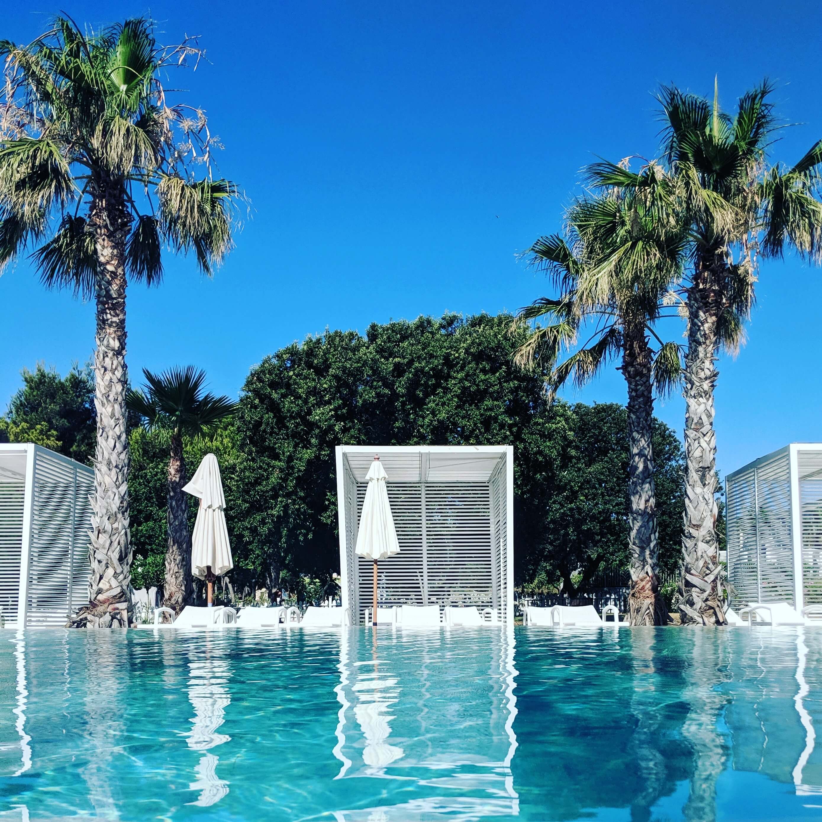 A blue hotel swimming pool flanked by two palm trees.